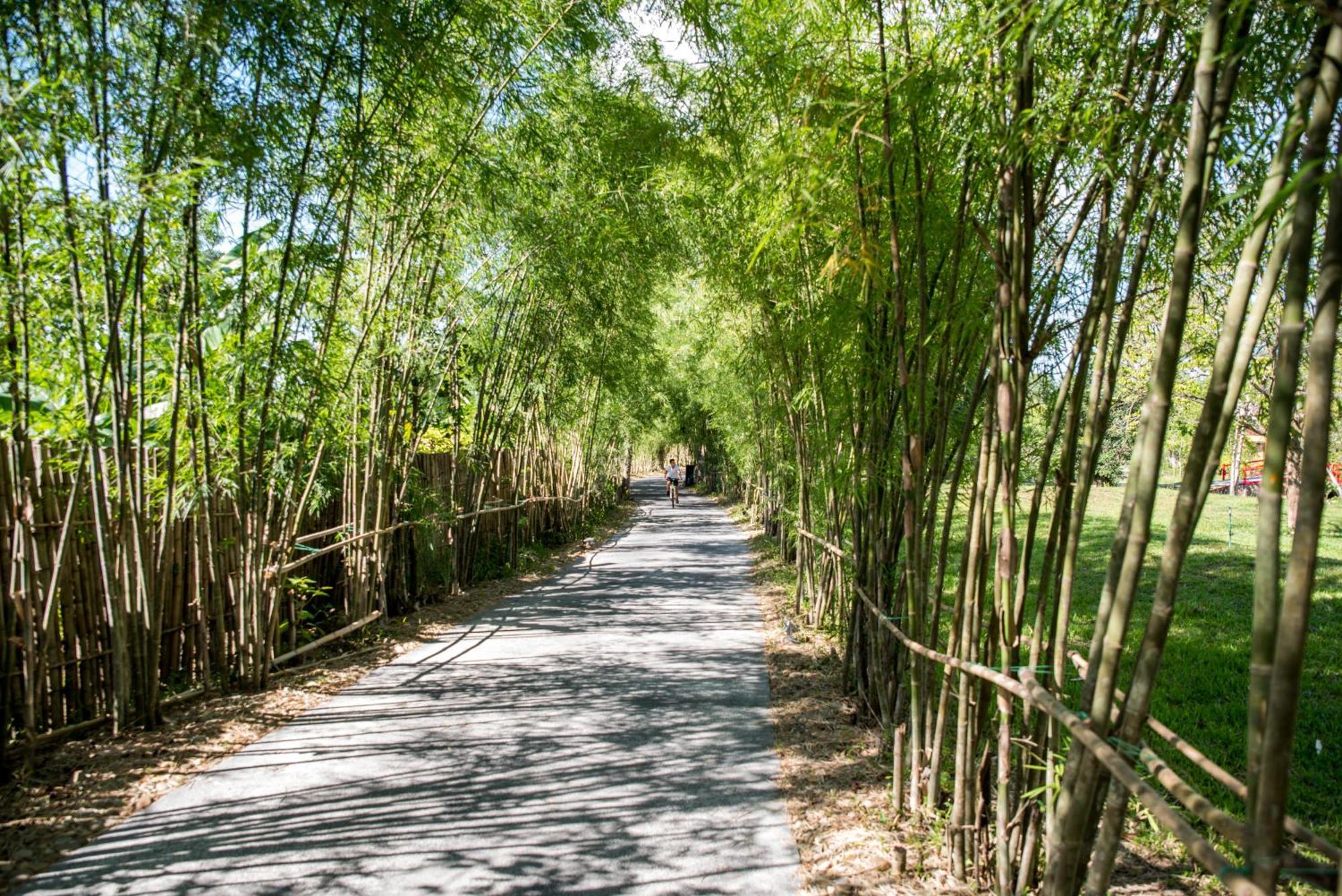 Alba Wellness Resort By Fusion Hue Εξωτερικό φωτογραφία